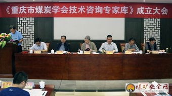 重慶煤炭學(xué)會(huì)聘請(qǐng)80名技術(shù)咨詢專家，為行業(yè)高質(zhì)量發(fā)展注入新動(dòng)能